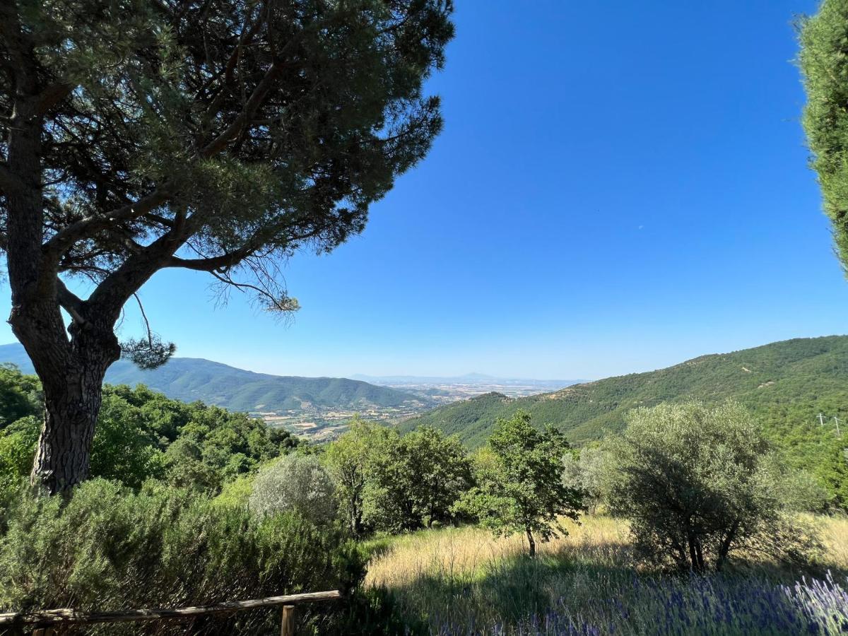 Coppa Di Sopra - Beautiful Villa With Superb View Santa Cristina (Arezzo) Exterior foto