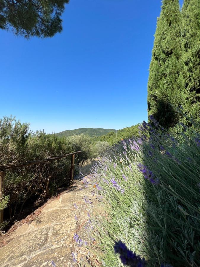 Coppa Di Sopra - Beautiful Villa With Superb View Santa Cristina (Arezzo) Exterior foto