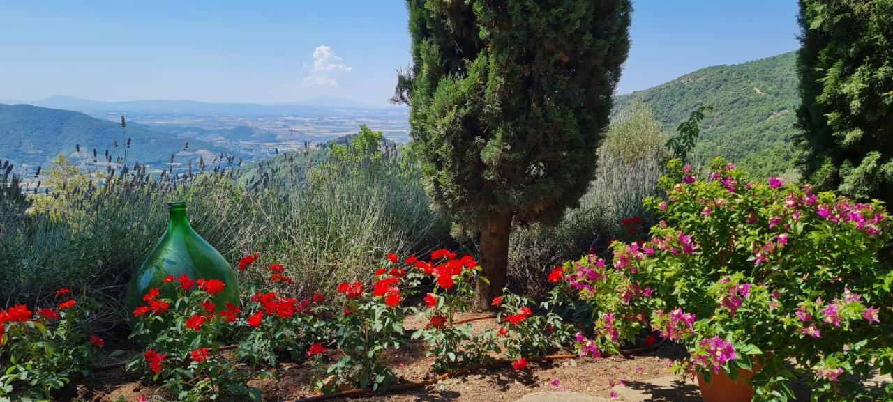 Coppa Di Sopra - Beautiful Villa With Superb View Santa Cristina (Arezzo) Exterior foto